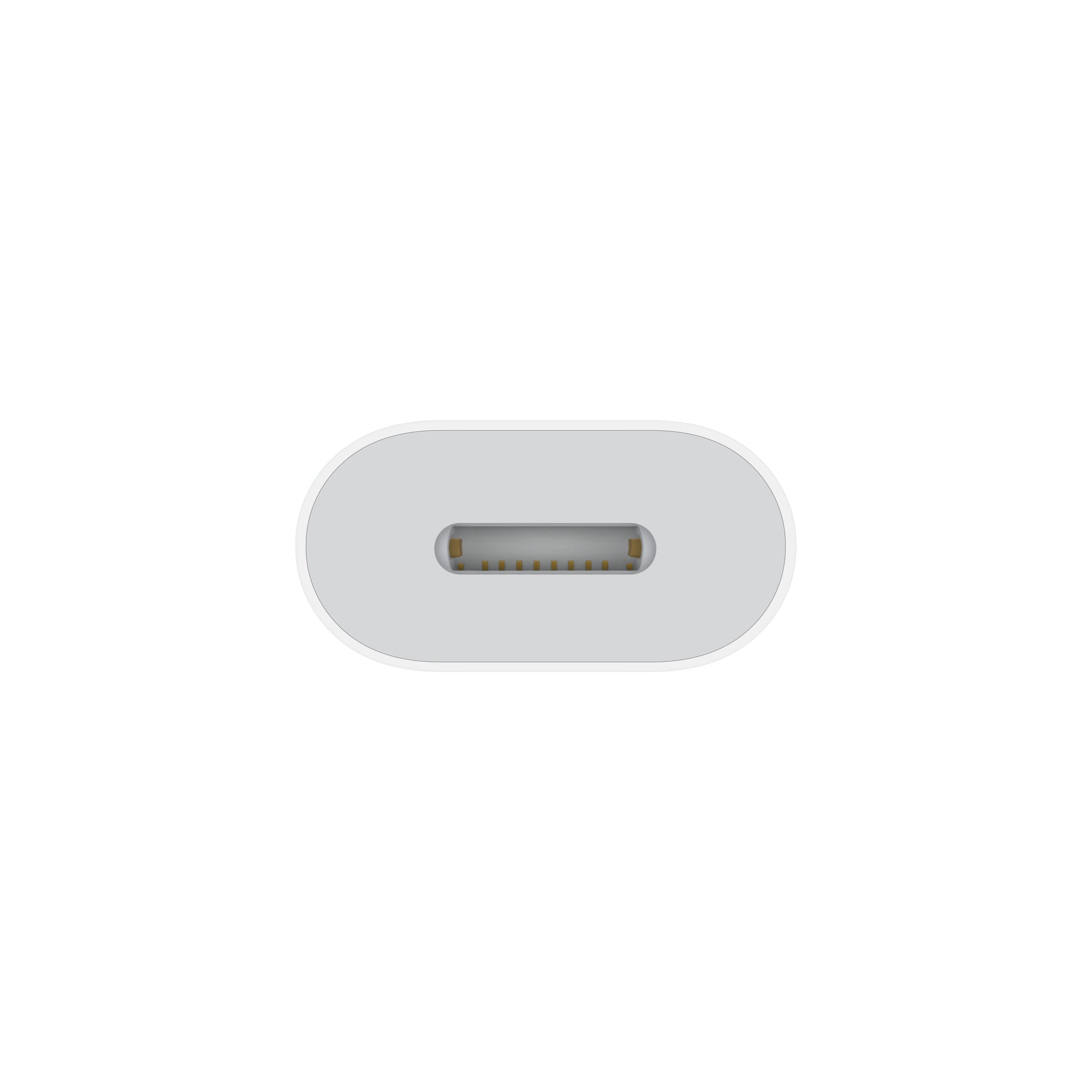 Apple USB-C to Lightning Adapter Apple USB-C to Lightning Adapter